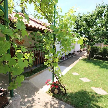 Apartment Garden