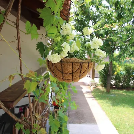 Garden Apartment