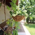 Garden Daire