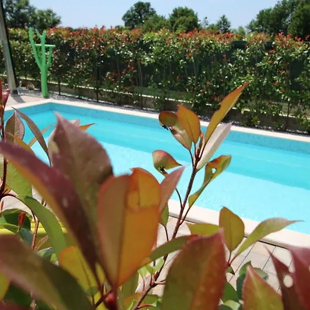 Apartment Garden Labinci
